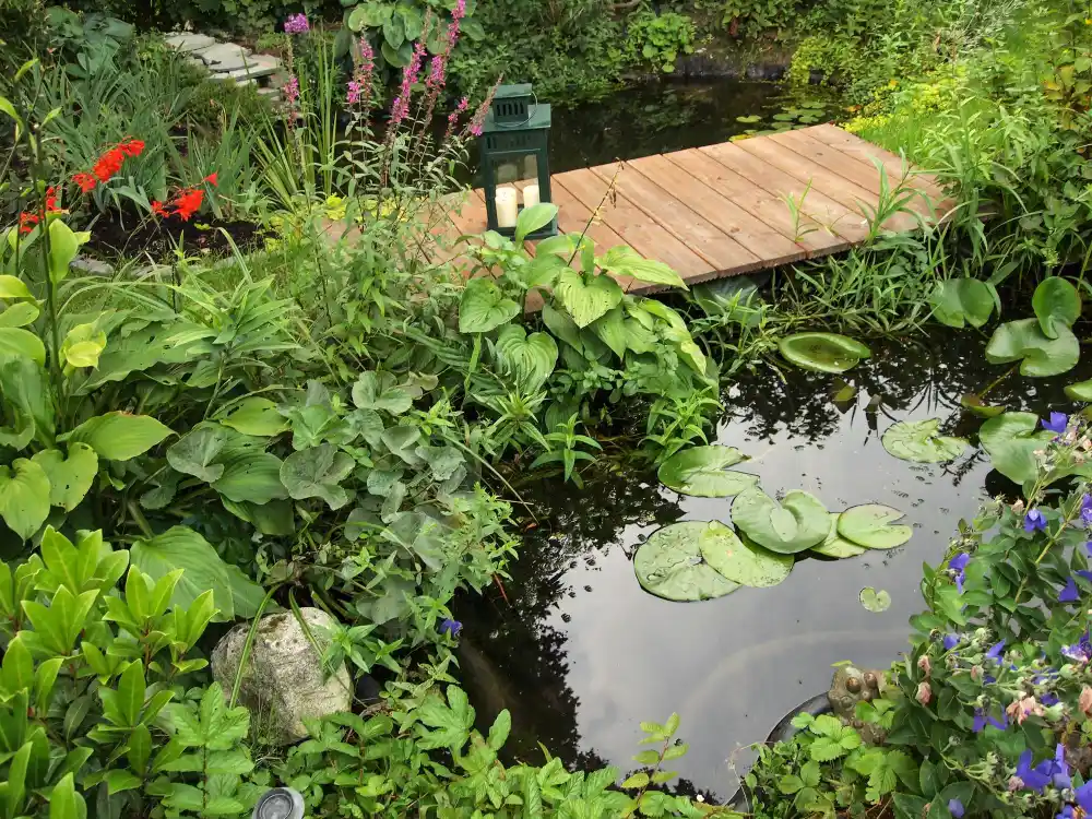 Naturnaher Gartenteich mit dichter Uferbepflanzung