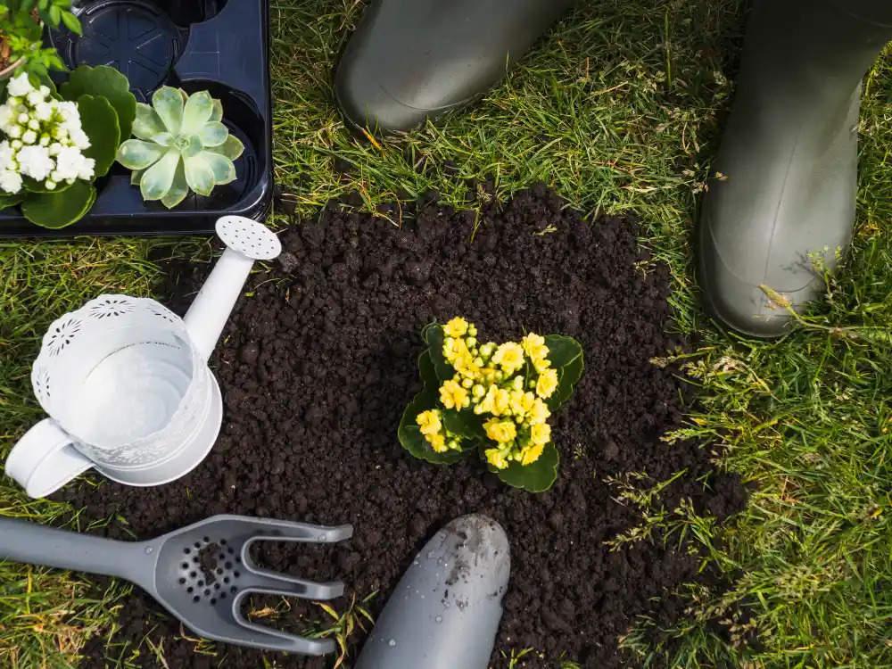 Gartenpflege: Gießkanne und Pflanzen auf frischer Erde