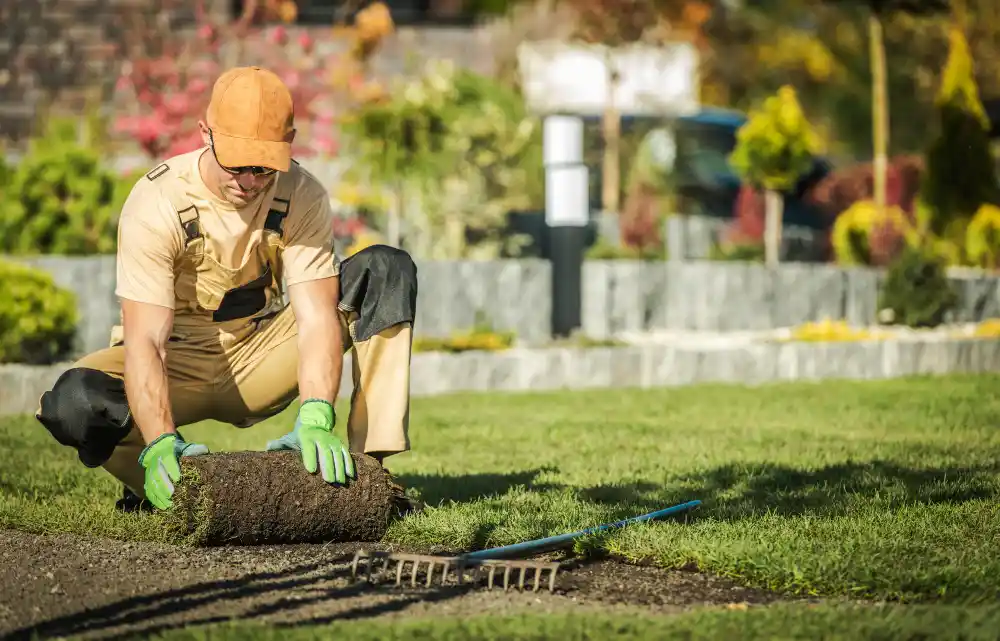 Landschaftsgaertner verlegt Rollrasen im Garten