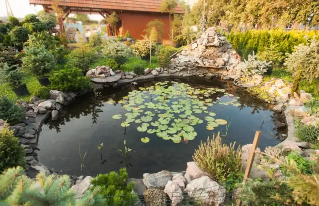 Angelegter Gartenteich mit Seerosen und Uferbepflanzung